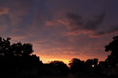 Skyscapes