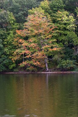 Fall Colors 2025