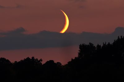Skyscapes