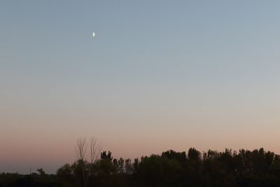 Skyscapes