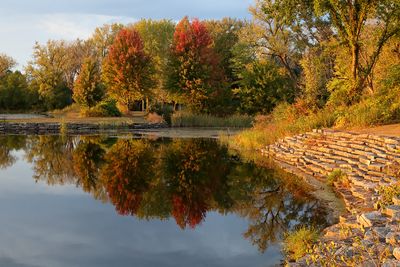 Fall Reflections