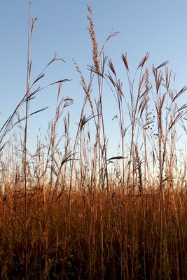 October on the Prairie