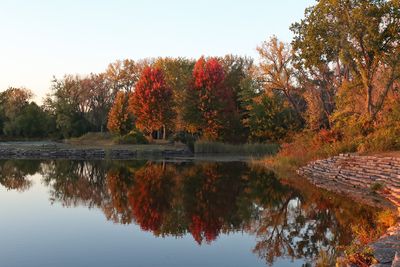 Fall Near Sunset