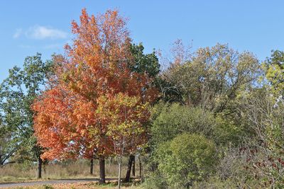 Changing Colors