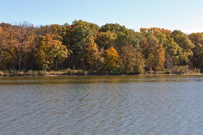 Fox River Fall