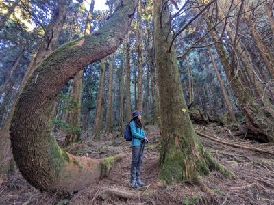 兒玉/東水山環走  | FEB 2024