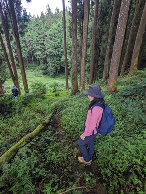 二萬坪山 | MAY 2024