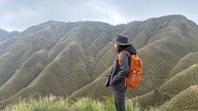 抹茶山 | APR 2025