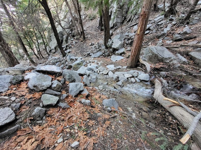 Seasonal stream, Mount Wilson