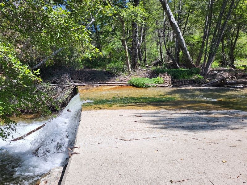 Ford near Cienega CG