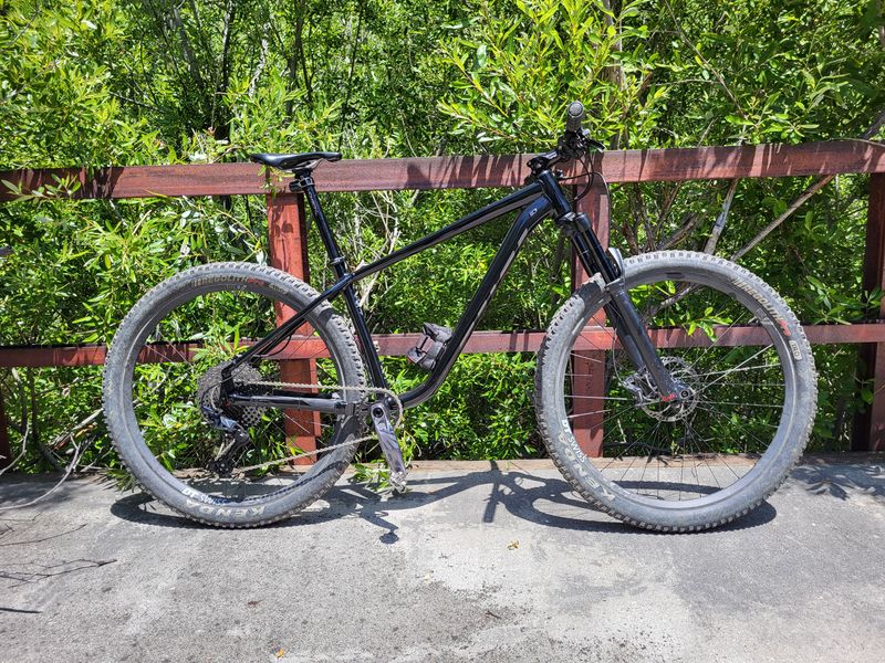 2024 Salsa Timberjack