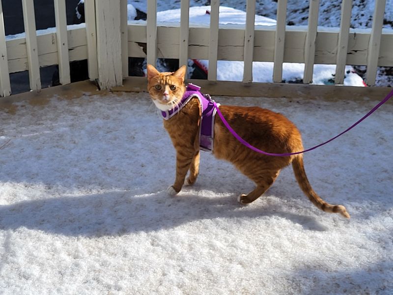 James Experiences Ice