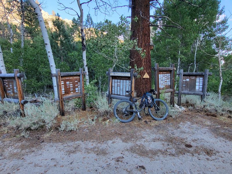 Interpretive Signs Enumerate All Species Here