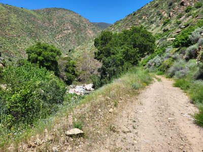 Angeles National Forest - Other