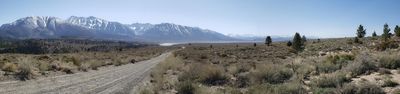 Volcanic Tablelands, Bishop, CA