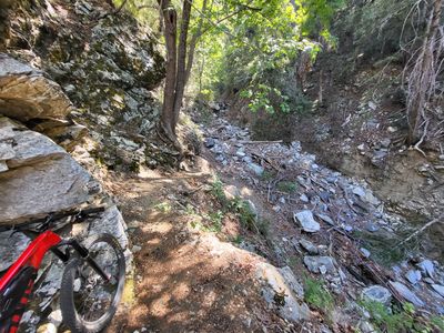 Maple Switchback, Kenyon Devore Trail