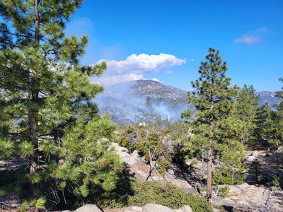 Horse Flats Controlled Burn
