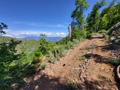 Steep Jeep Trail to Trumbull Peak Summit