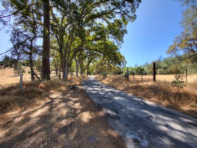 Old Ward's Ferry Road