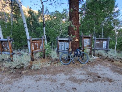 Interpretive Signs Enumerate All Species Here