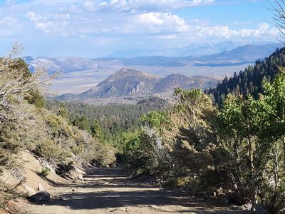 View Down-Canyon to South
