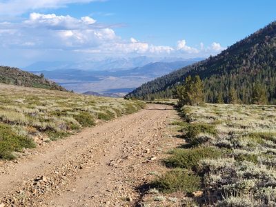 View Down-Canyon to South