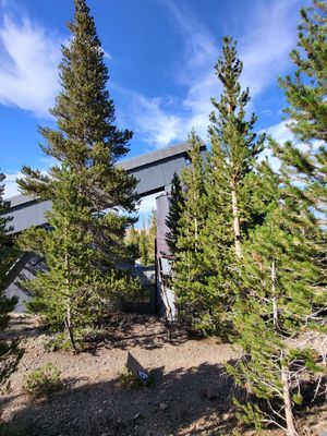 Log Cabin Mine Works