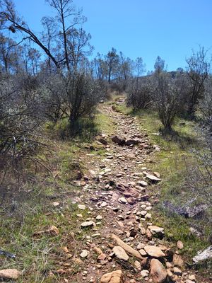 Old Stage Trail