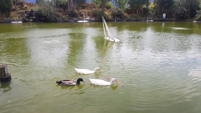 231105_vines_village_