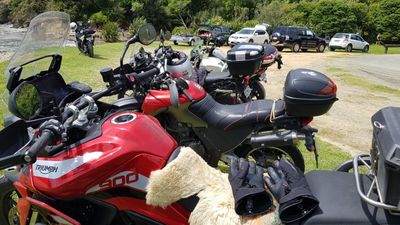 240128 Okiwi Bay 04.jpg