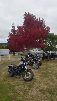 240331 Jolly Roger 04.jpg
