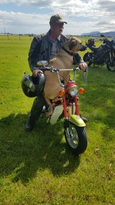 241116 Ulysses Nelson Toy Run 008.jpg