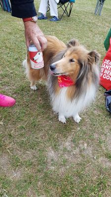 241205 Branch Picnic Bush Reserve 05.jpg