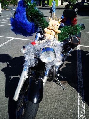 2025 Ulysses Nelson Toy Run 05.jpg