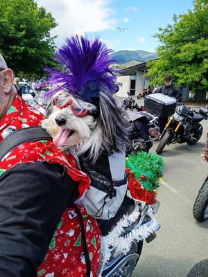 2025 Ulysses Nelson Toy Run 38.jpg