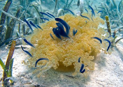 Underwater