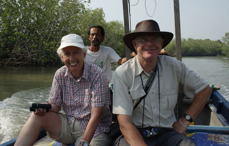 Boatride through the mangroves