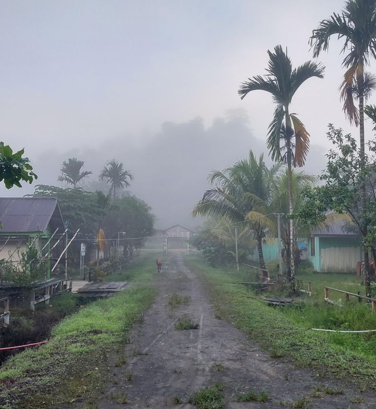 Misty morning