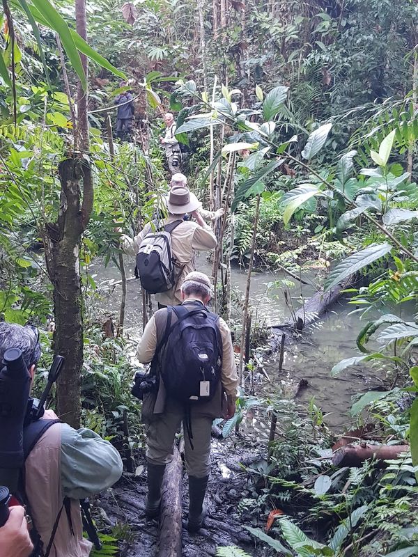Narrow slippery trails