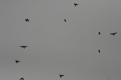 g13/90/590590/3/173628911.f5fb1f8c.JPEG
