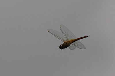 g13/90/590590/3/173895231.2b36fb09.JPEG