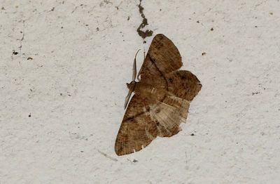 g13/90/590590/3/174952697.c0ab310d.JPEG