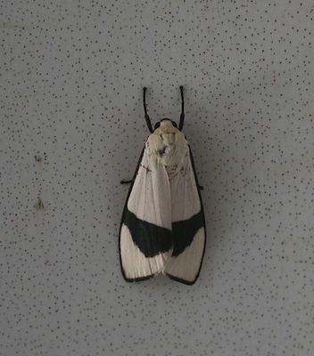 g13/90/590590/3/175020250.f1609c53.JPEG