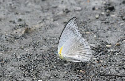 g13/90/590590/3/175718370.d368d875.JPEG