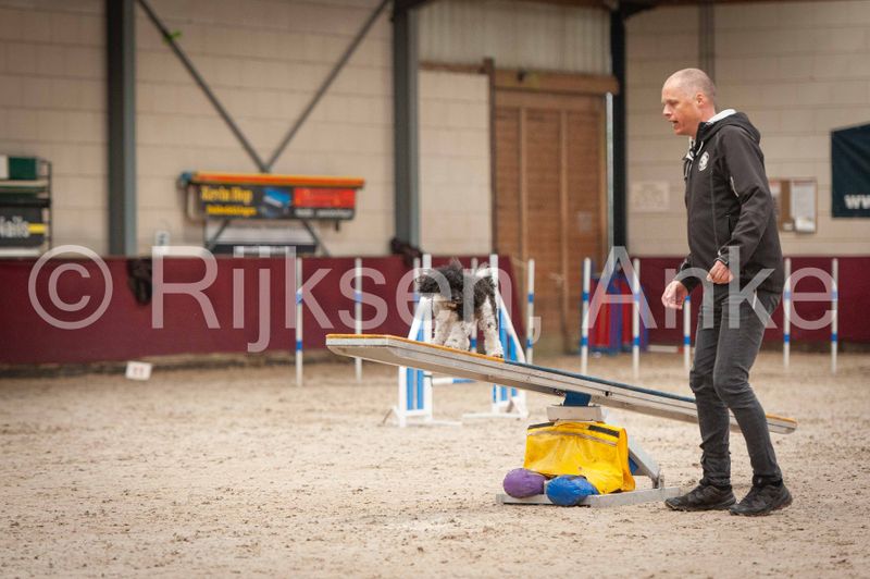 Agilitywedstrijd ACE 17-02-2024