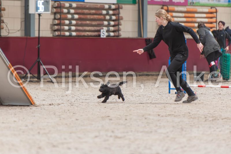 _AWT5630-Verbeterd-NR.JPG