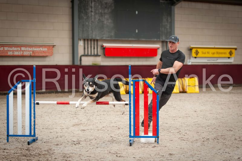 _AWT6383-Verbeterd-NR.JPG