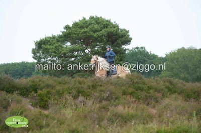 g13/90/6060390/3/174611974.ef5ee753.JPEG