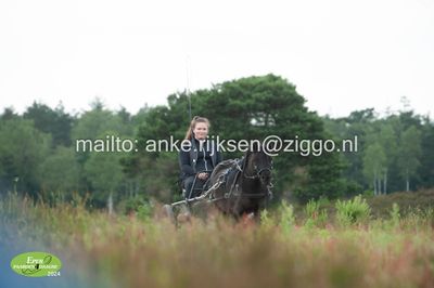 g13/90/6060390/3/174612104.66db2eb8.JPEG