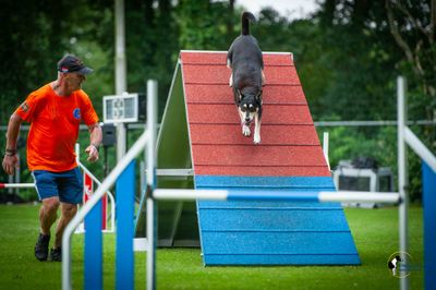 Agility Clubwedstrijd KC NWV 27 juni 2024